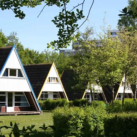 Homes In 36483